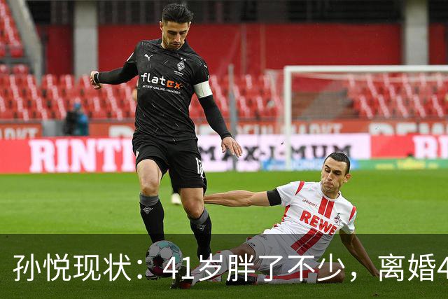 孙悦现状：41岁胖了不少，离婚4年还是单身，一双儿女越长越像他